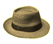 felt hat