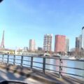 the Statue of Liberty