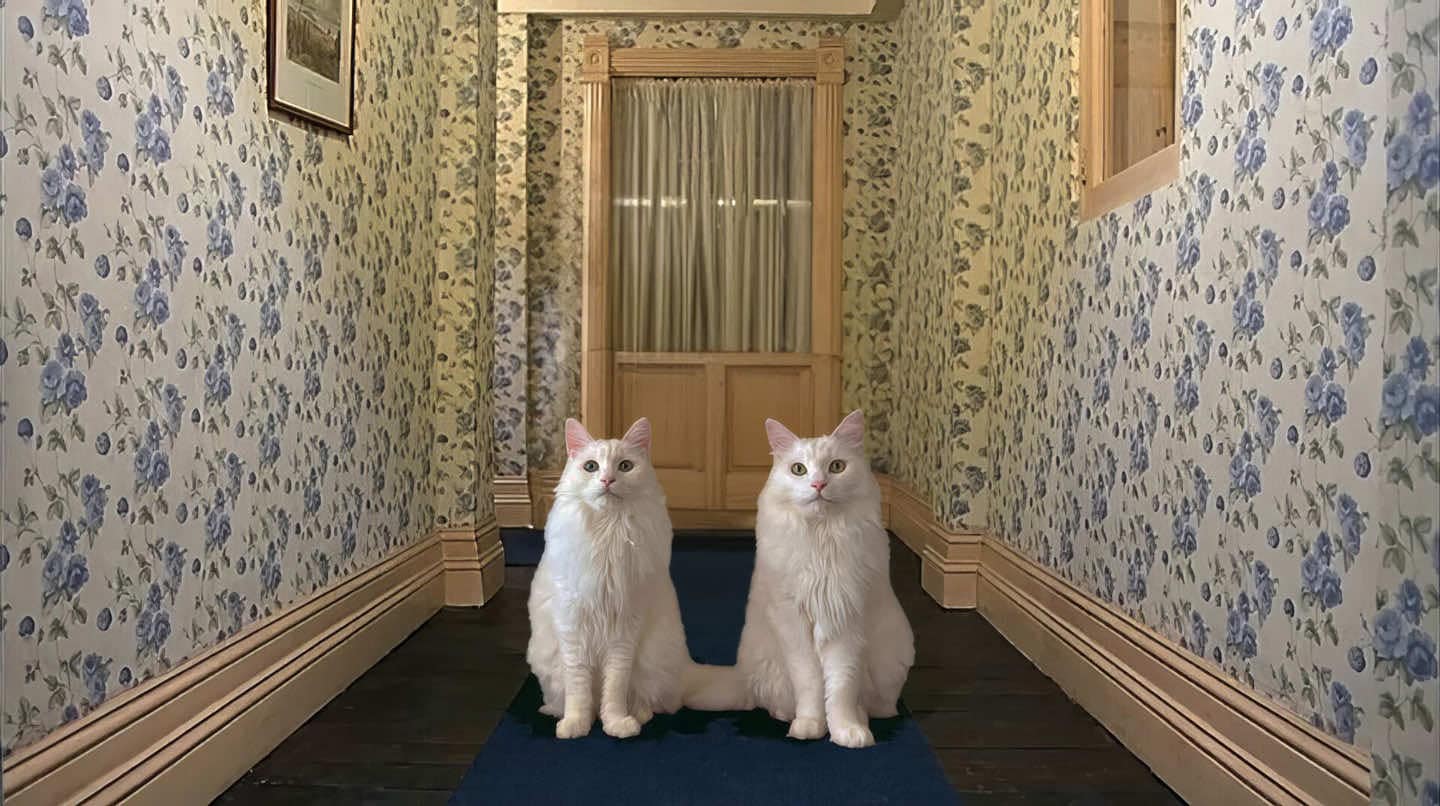 The Shining Twins Cats